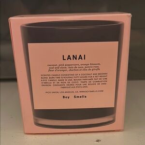 RARE LIKE NEW Boy Smells Lanai Candle